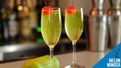 Mimosa